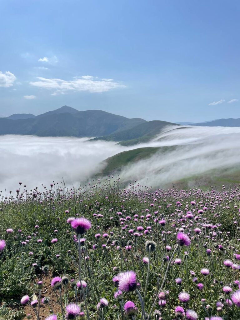 سفرهای مینی بوس ایران